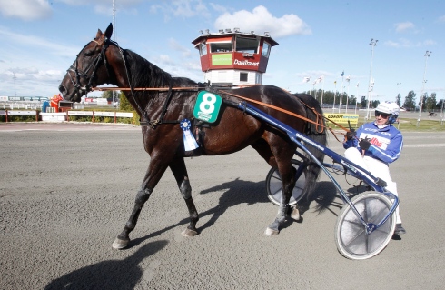 Jorma Kontio kliver av Win B.Hill efter den imponerande segern i Sverige-debuten. Foto: Thomas Gustafsson / ALN. Foto av Thomas Gustafsson, ALN